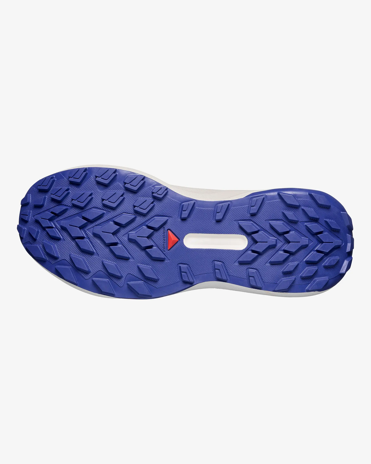 SALOMON GENESIS BRUNNRA BLUE PERSIAN JEWEL