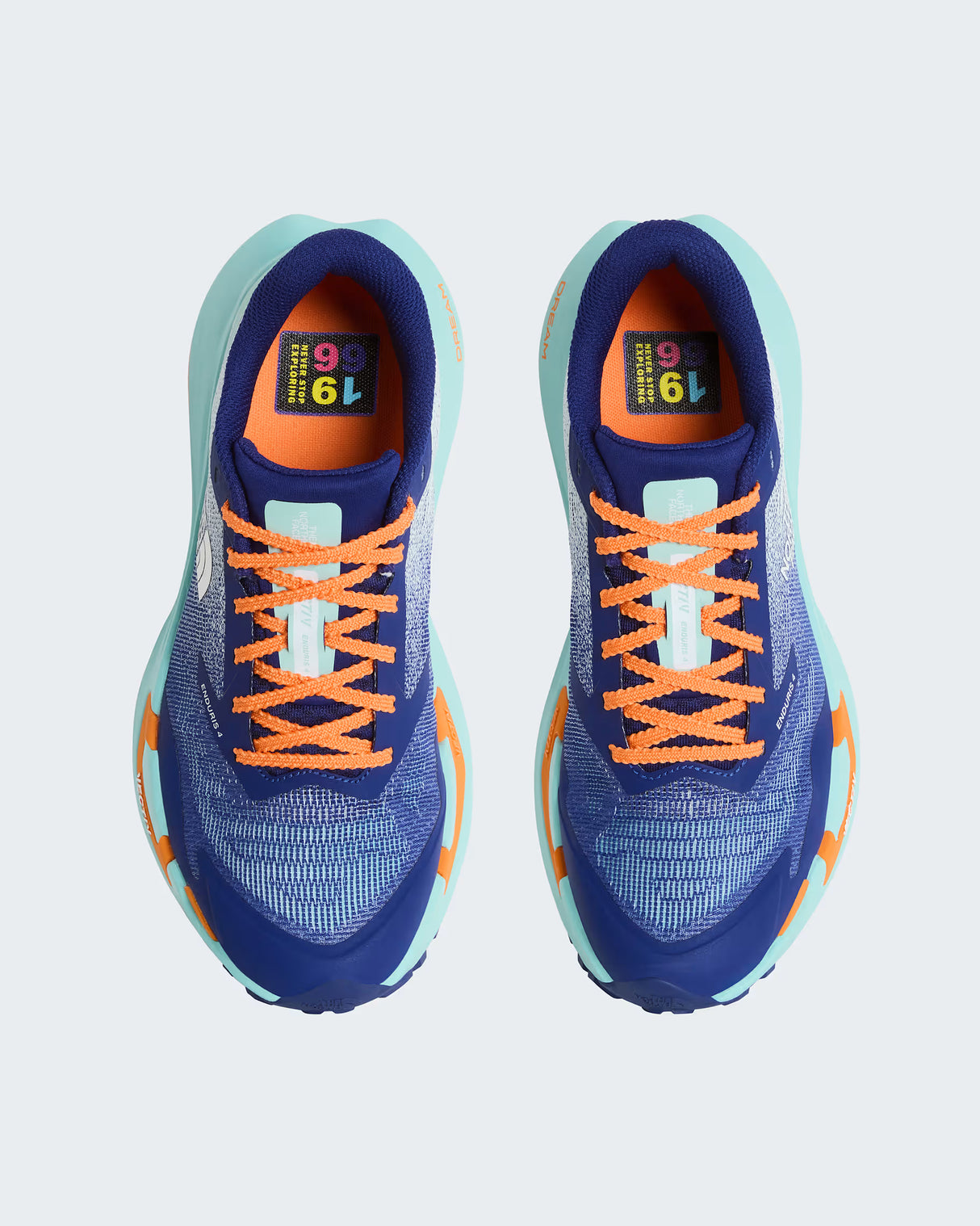 THE NORTH FACE VECTIV ENDURIS 4 BOLD BLUE HOMBRE