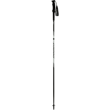 DYNAFIT ALPINE PRO POLE UNISEX